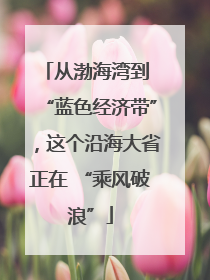 从渤海湾到 “蓝色经济带”，这个沿海大省正在 “乘风破浪”