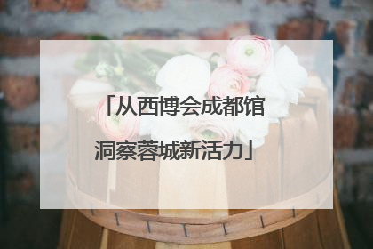 从西博会成都馆洞察蓉城新活力