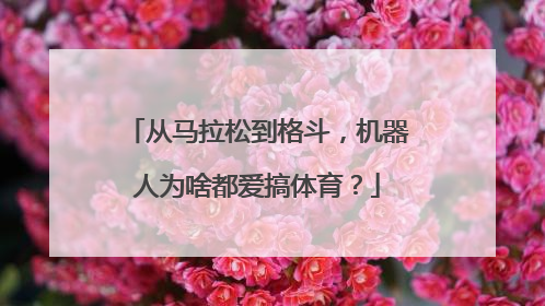 从马拉松到格斗，机器人为啥都爱搞体育？