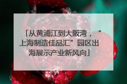 从黄浦江到大阪湾,“上海制造佳品汇”园区出海展示产业新风向