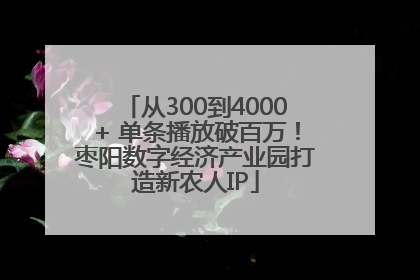 从300到4000+ 单条播放破百万！枣阳数字经济产业园打造新农人IP