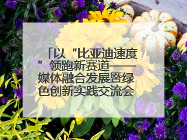 以“比亚迪速度”领跑新赛道——媒体融合发展暨绿色创新实践交流会首站走进比亚迪