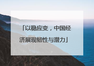 以稳应变，中国经济展现韧性与潜力