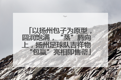 以扬州包子为原型，圆润饱满，“蒸”腾向上，扬州足球队吉祥物“包赢”亮相即售罄