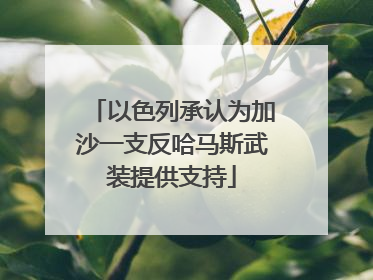 以色列承认为加沙一支反哈马斯武装提供支持