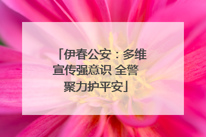 伊春公安：多维宣传强意识 全警聚力护平安