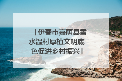 伊春市嘉荫县雪水温村厚植文明底色促进乡村振兴