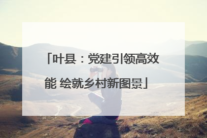 叶县：党建引领高效能 绘就乡村新图景