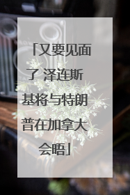 又要见面了 泽连斯基将与特朗普在加拿大会晤