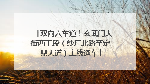 双向六车道！玄武门大街西工段（纱厂北路至定鼎大道）主线通车