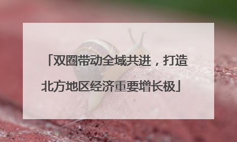 双圈带动全域共进，打造北方地区经济重要增长极