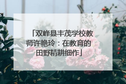 双峰县丰茂学校教师许艳玲：在教育的田野精耕细作