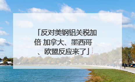 反对美钢铝关税加倍 加拿大、墨西哥、欧盟反应来了