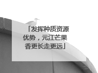 发挥种质资源优势，元江芒果香更长走更远