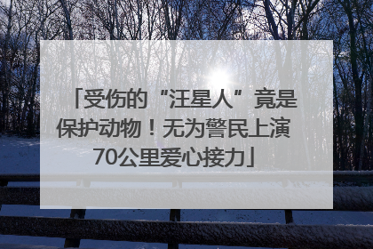 受伤的“汪星人”竟是保护动物！无为警民上演70公里爱心接力