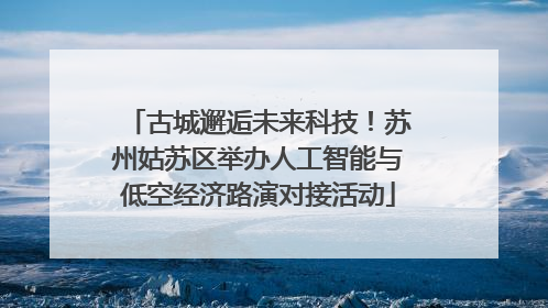 古城邂逅未来科技！苏州姑苏区举办人工智能与低空经济路演对接活动