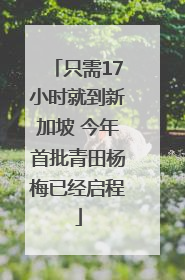 只需17小时就到新加坡 今年首批青田杨梅已经启程