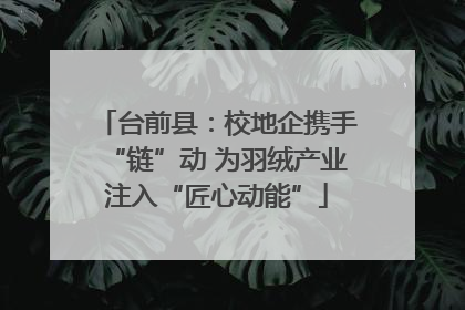 台前县：校地企携手“链”动 为羽绒产业注入“匠心动能”