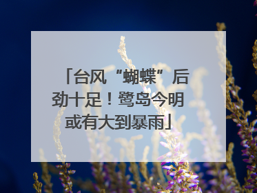 台风“蝴蝶”后劲十足！鹭岛今明或有大到暴雨