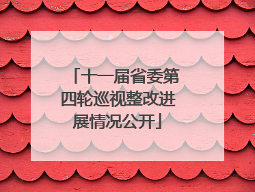 十一届省委第四轮巡视整改进展情况公开