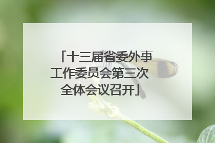 十三届省委外事工作委员会第三次全体会议召开