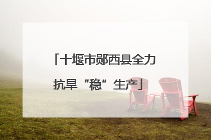 十堰市郧西县全力抗旱“稳”生产