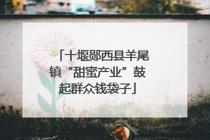 十堰郧西县羊尾镇“甜蜜产业”鼓起群众钱袋子