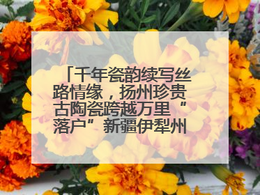 千年瓷韵续写丝路情缘，扬州珍贵古陶瓷跨越万里“落户”新疆伊犁州博物馆