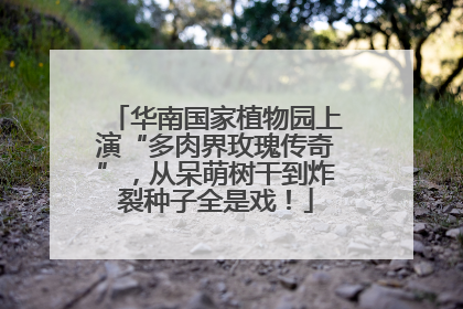 华南国家植物园上演“多肉界玫瑰传奇”，从呆萌树干到炸裂种子全是戏！