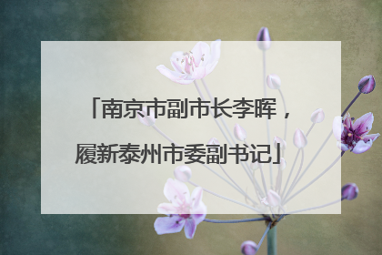 南京市副市长李晖，履新泰州市委副书记