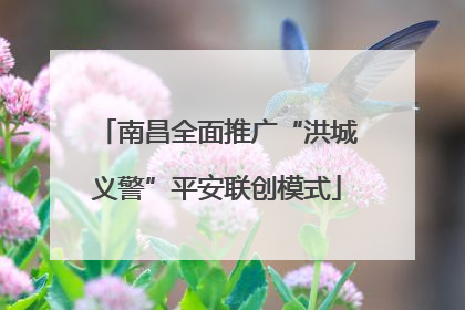 南昌全面推广“洪城义警”平安联创模式