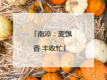 南漳：麦飘香 丰收忙