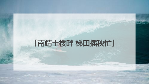 南靖土楼畔 梯田插秧忙