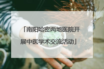 南阳哈密两地医院开展中医学术交流活动