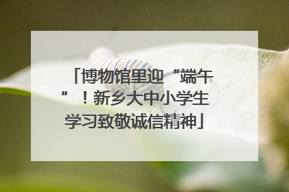 博物馆里迎“端午”！新乡大中小学生学习致敬诚信精神