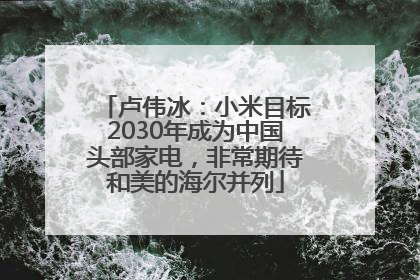 卢伟冰：小米目标2030年成为中国头部家电，非常期待和美的海尔并列
