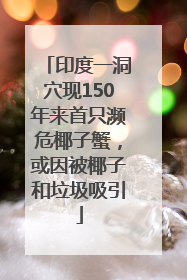 印度一洞穴现150年来首只濒危椰子蟹，或因被椰子和垃圾吸引