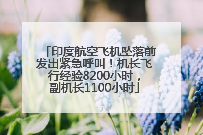 印度航空飞机坠落前发出紧急呼叫！机长飞行经验8200小时，副机长1100小时