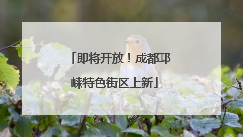 即将开放！成都邛崃特色街区上新