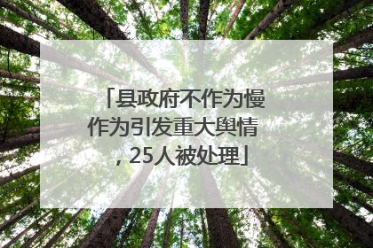 县政府不作为慢作为引发重大舆情，25人被处理