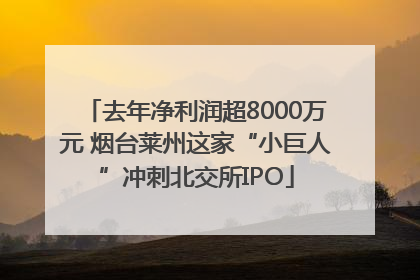 去年净利润超8000万元 烟台莱州这家“小巨人”冲刺北交所IPO