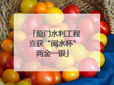 厦门水利工程喜获“闽水杯”两金一银