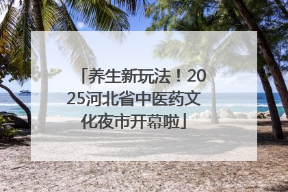 养生新玩法！2025河北省中医药文化夜市开幕啦