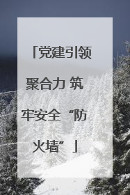 党建引领聚合力 筑牢安全“防火墙”