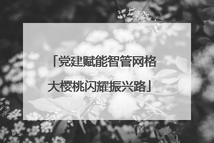 党建赋能智管网格 大樱桃闪耀振兴路