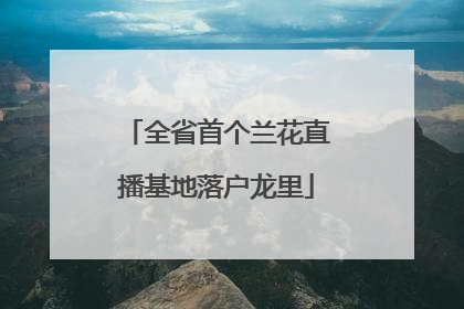 全省首个兰花直播基地落户龙里
