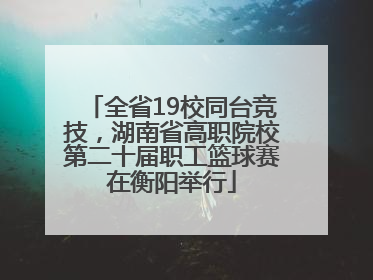 全省19校同台竞技，湖南省高职院校第二十届职工篮球赛在衡阳举行