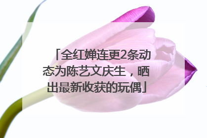 全红婵连更2条动态为陈艺文庆生，晒出最新收获的玩偶