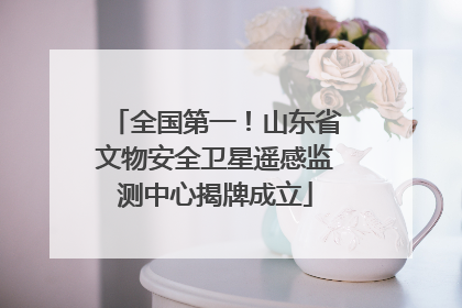 全国第一！山东省文物安全卫星遥感监测中心揭牌成立