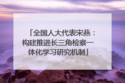 全国人大代表宋燕：构建推进长三角检察一体化学习研究机制